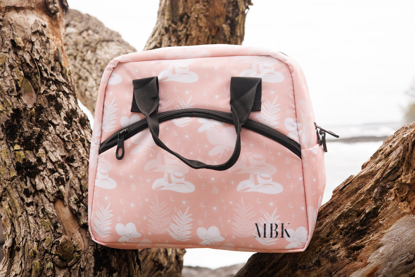 Insulated lunch bag