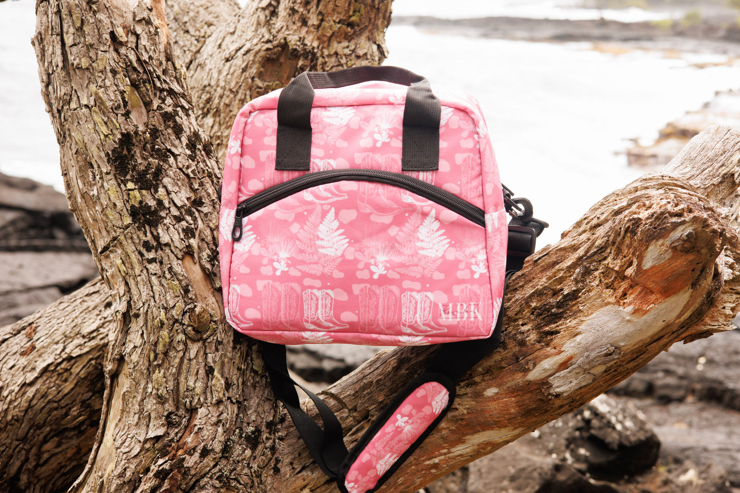 Insulated lunch bag